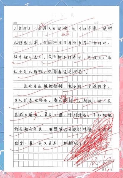 枇杷树作文怎么写_枇杷树作文写作技巧-第2张图片-星辰妙记