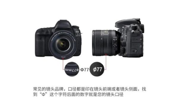 单反放大镜头怎么用_单反放大镜头和微距镜头区别-第1张图片-星辰妙记 单反放大镜头怎么用_单反放大镜头和微距镜头区别-第1张图片-星辰妙记