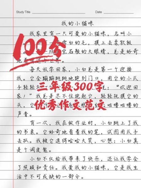 作文300字怎么写_如何提高写作效率-第1张图片-星辰妙记 作文300字怎么写_如何提高写作效率-第1张图片-星辰妙记