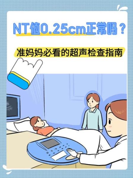 nt检查最佳孕周_孕妇做nt需要空腹吗-第2张图片-星辰妙记 nt检查最佳孕周_孕妇做nt需要空腹吗-第2张图片-星辰妙记
