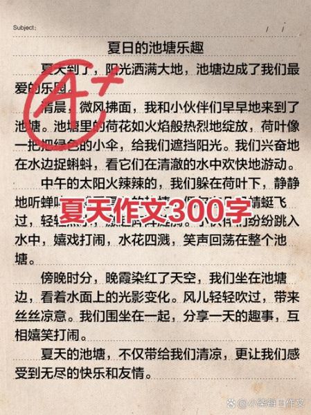 夏天作文怎么写_夏天作文300字如何扩展-第1张图片-星辰妙记
