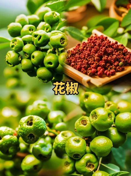 孕妇能吃花椒吗_孕期吃花椒安全吗-第2张图片-星辰妙记 孕妇能吃花椒吗_孕期吃花椒安全吗-第2张图片-星辰妙记