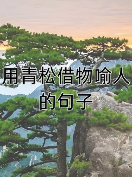 青松的精神象征是什么_如何借青松写作文-第3张图片-星辰妙记