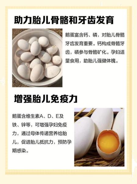 孕妇几天吃一个鹅蛋好_鹅蛋对胎儿有什么好处-第1张图片-星辰妙记 孕妇几天吃一个鹅蛋好_鹅蛋对胎儿有什么好处-第1张图片-星辰妙记