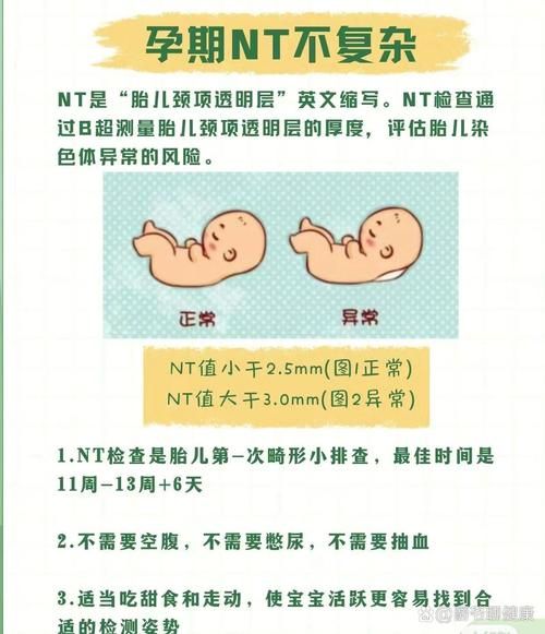 nt检查什么时候做_nt检查正常值是多少-第2张图片-星辰妙记 nt检查什么时候做_nt检查正常值是多少-第2张图片-星辰妙记