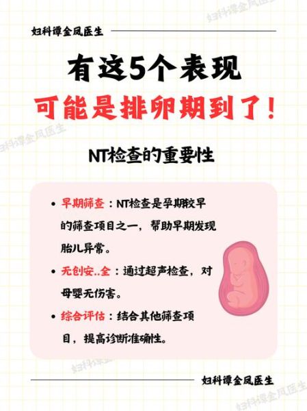 nt检查什么时候做_nt检查正常值是多少-第1张图片-星辰妙记 nt检查什么时候做_nt检查正常值是多少-第1张图片-星辰妙记