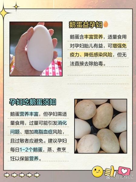 孕妇几天吃一个鹅蛋好_鹅蛋对胎儿有什么好处-第2张图片-星辰妙记 孕妇几天吃一个鹅蛋好_鹅蛋对胎儿有什么好处-第2张图片-星辰妙记