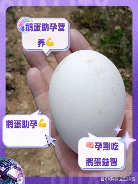孕妇几天吃一个鹅蛋好_鹅蛋对胎儿有什么好处-第3张图片-星辰妙记 孕妇几天吃一个鹅蛋好_鹅蛋对胎儿有什么好处-第3张图片-星辰妙记