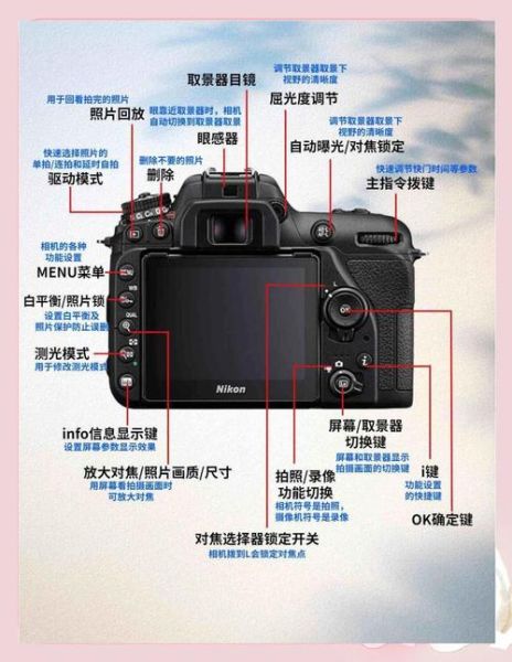 nikon镜头d和g的区别_nikon镜头d值得买吗-第3张图片-星辰妙记 nikon镜头d和g的区别_nikon镜头d值得买吗-第3张图片-星辰妙记