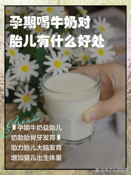 孕妇天天喝牛奶好吗_孕期每天喝牛奶的利弊-第1张图片-星辰妙记 孕妇天天喝牛奶好吗_孕期每天喝牛奶的利弊-第1张图片-星辰妙记
