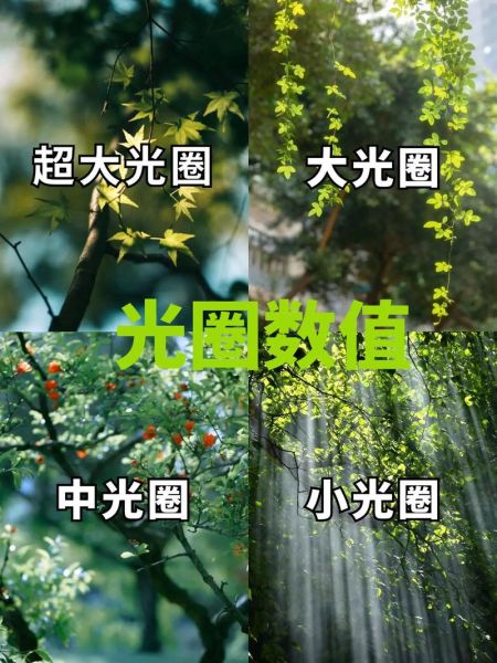 相机镜头光圈怎么调_光圈大小对成像的影响-第3张图片-星辰妙记