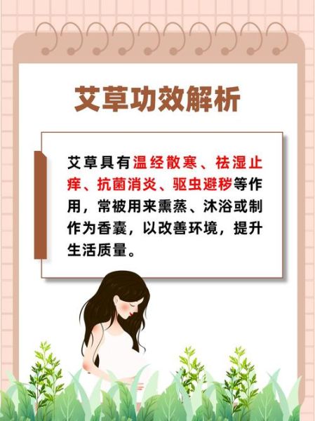 孕妇能闻艾草吗_艾草对孕妇有影响吗-第3张图片-星辰妙记