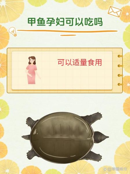 孕妇甲鱼能吃吗_怀孕吃甲鱼安全吗-第1张图片-星辰妙记 孕妇甲鱼能吃吗_怀孕吃甲鱼安全吗-第1张图片-星辰妙记