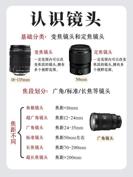 单反镜头怎么选_初学者必看选购指南-第2张图片-星辰妙记 单反镜头怎么选_初学者必看选购指南-第2张图片-星辰妙记