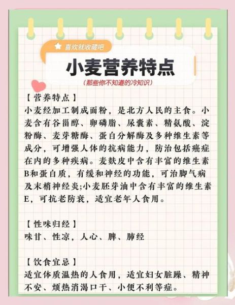 孕妇可以吃小麦吗_孕期吃小麦的注意事项-第1张图片-星辰妙记 孕妇可以吃小麦吗_孕期吃小麦的注意事项-第1张图片-星辰妙记