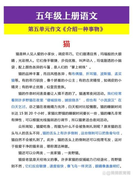 如何描写事物_描写事物作文怎么写-第2张图片-星辰妙记