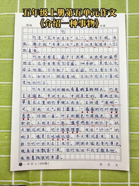 如何描写事物_描写事物作文怎么写-第3张图片-星辰妙记