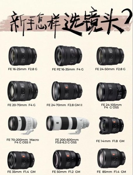 索尼镜头怎么选_索尼镜头推荐-第2张图片-星辰妙记