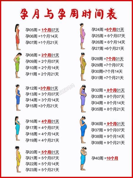 孕妇周期怎么计算_怀孕各阶段注意事项-第3张图片-星辰妙记 孕妇周期怎么计算_怀孕各阶段注意事项-第3张图片-星辰妙记