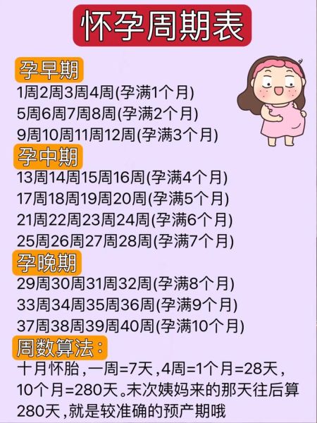 孕妇周期怎么计算_怀孕各阶段注意事项-第2张图片-星辰妙记 孕妇周期怎么计算_怀孕各阶段注意事项-第2张图片-星辰妙记