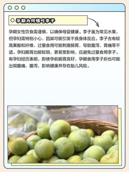 孕妇可以吃李子吗早期_孕早期吃李子注意事项-第1张图片-星辰妙记