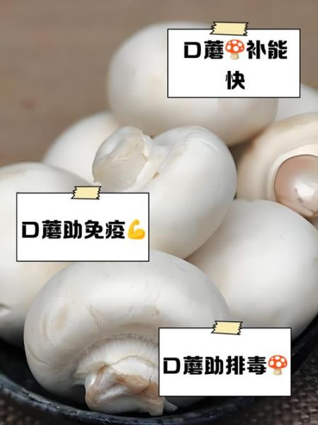 口蘑孕妇可以吃吗_孕妇吃口蘑注意事项-第1张图片-星辰妙记