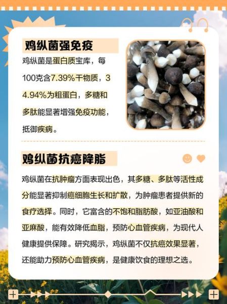 孕妇可以吃鸡纵菌吗_孕期吃鸡纵菌注意事项-第1张图片-星辰妙记 孕妇可以吃鸡纵菌吗_孕期吃鸡纵菌注意事项-第1张图片-星辰妙记