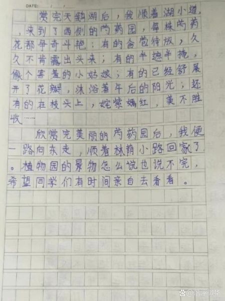 四年级下册第一单元作文怎么写_如何写出春游趣事-第1张图片-星辰妙记