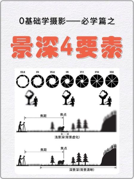 什么是无限景深镜头_如何拍出前后都清晰的照片-第3张图片-星辰妙记