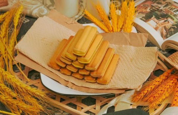 电动饼干镜头是什么_适合拍什么场景-第3张图片-星辰妙记