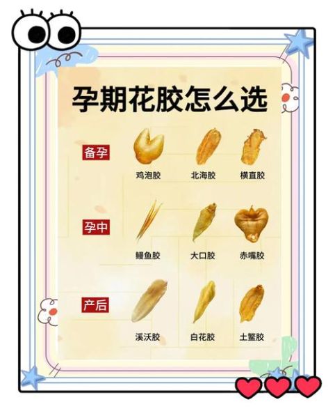 孕妇什么时候吃鱼胶最好_怀孕几个月开始吃花胶-第3张图片-星辰妙记