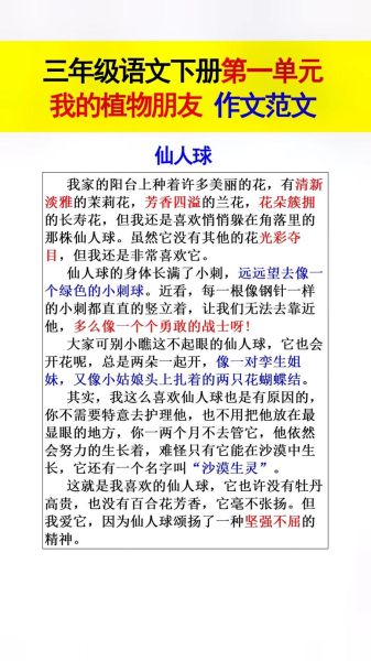 仙人掌怎么写作文_仙人掌作文写作技巧-第1张图片-星辰妙记 仙人掌怎么写作文_仙人掌作文写作技巧-第1张图片-星辰妙记