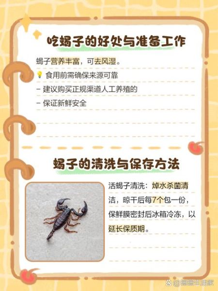 孕妇能吃蝎子吗_孕期吃蝎子安全吗-第3张图片-星辰妙记