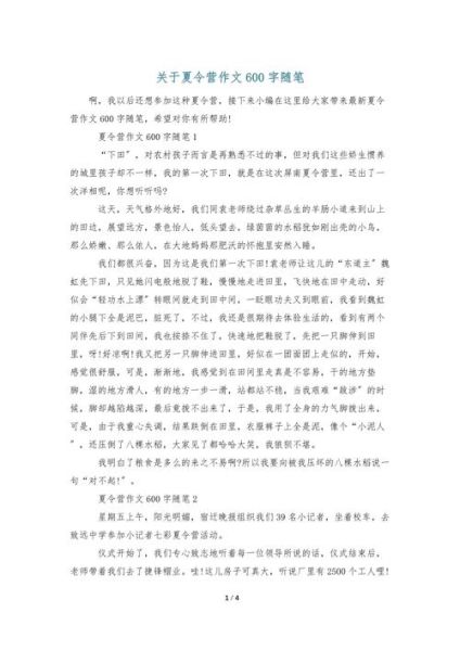 夏令营作文怎么写_夏令营作文开头结尾怎么写-第3张图片-星辰妙记