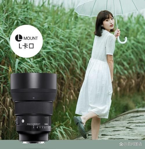 超远摄镜头怎么选_超远摄镜头适合拍什么-第1张图片-星辰妙记