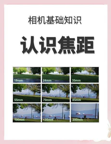 人像镜头和风光镜头有什么区别_怎么选-第2张图片-星辰妙记