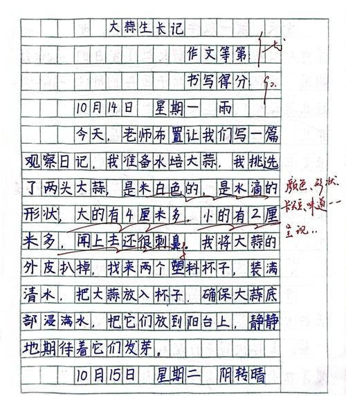 四年级上册作文观察日记怎么写_观察日记写作技巧-第1张图片-星辰妙记