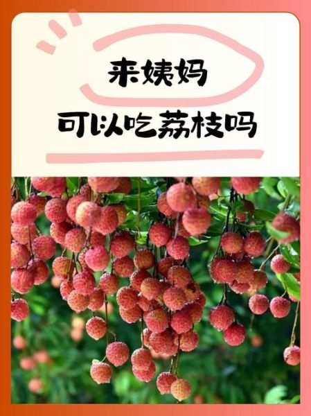 孕妇梦见买荔枝是什么意思_孕期梦见买荔枝生男生女-第3张图片-星辰妙记