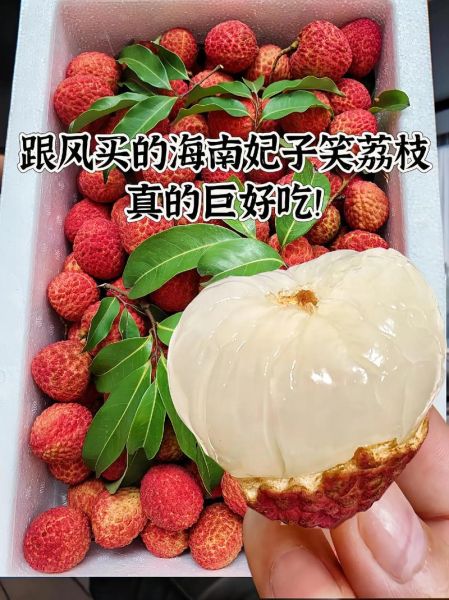 孕妇梦见买荔枝是什么意思_孕期梦见买荔枝生男生女-第2张图片-星辰妙记