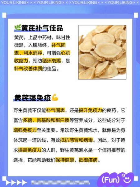 孕妇可以喝黄芪水吗_黄芪水对胎儿有影响吗-第1张图片-星辰妙记