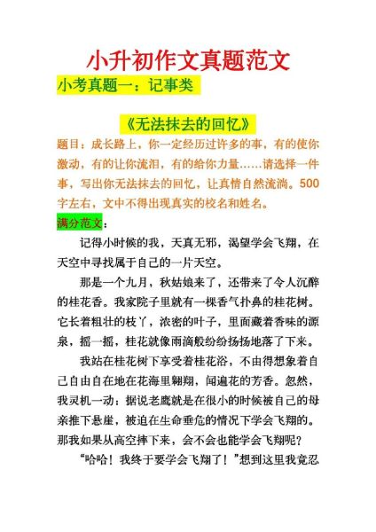 小学升初中作文怎么写_小升初作文题目有哪些-第2张图片-星辰妙记