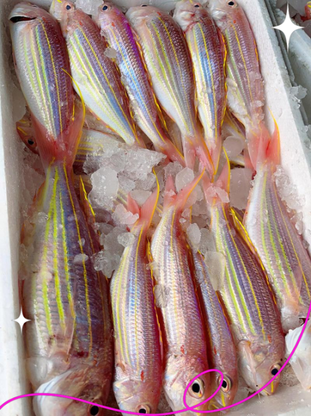 孕妇可以吃金丝鱼吗_金丝鱼孕期营养安全指南-第2张图片-星辰妙记