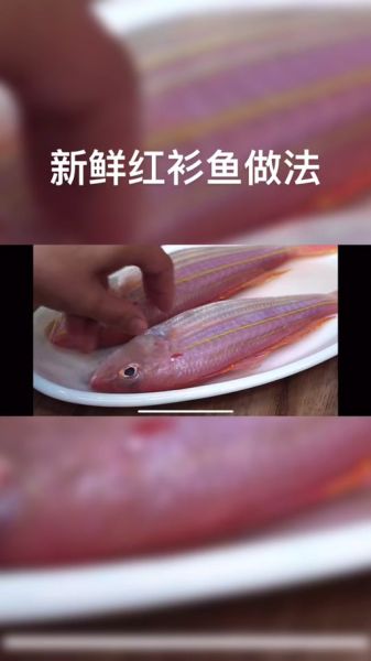 孕妇可以吃金丝鱼吗_金丝鱼孕期营养安全指南-第3张图片-星辰妙记