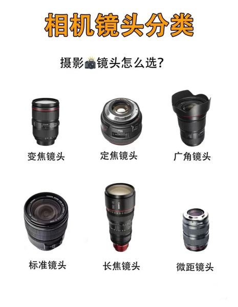 全球最好镜头有哪些_如何挑选适合自己的镜头-第1张图片-星辰妙记