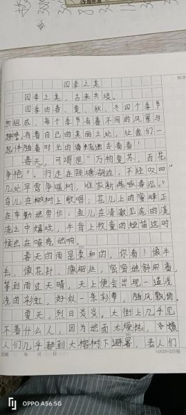 如何写好700字作文_700字作文写作技巧-第3张图片-星辰妙记