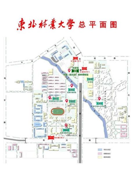 东北林业大学地址在哪里_交通路线怎么走-第1张图片-星辰妙记