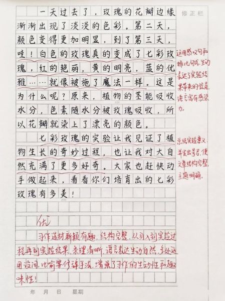 我最喜欢的广告怎么写_作文开头如何吸引人-第1张图片-星辰妙记