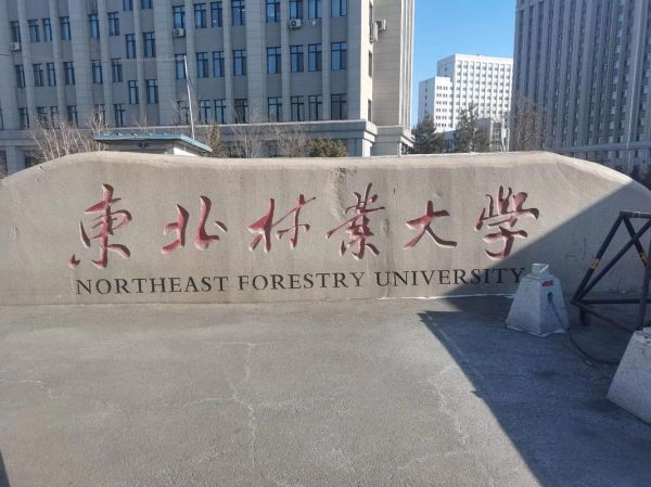 东北林业大学地址在哪里_交通路线怎么走-第3张图片-星辰妙记