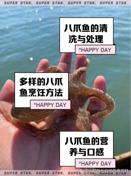 孕妇能吃八爪鱼吗_孕妇吃八爪鱼注意事项-第3张图片-星辰妙记