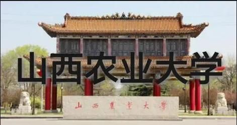山西农业大学信息学院怎么样_录取分数线是多少-第2张图片-星辰妙记